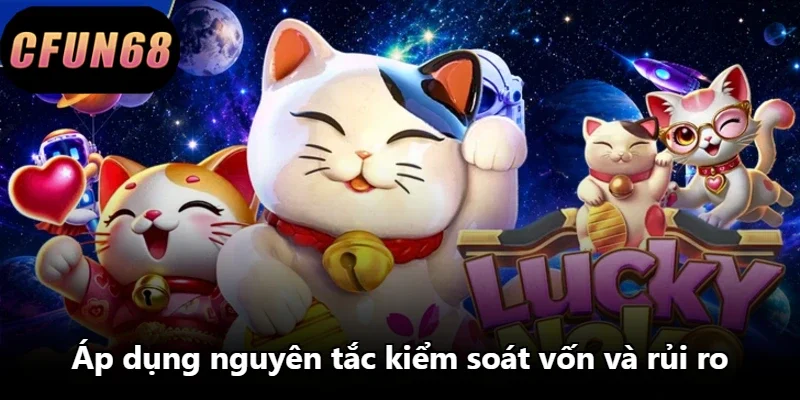 Áp dụng nguyên tắc kiểm soát vốn và rủi ro