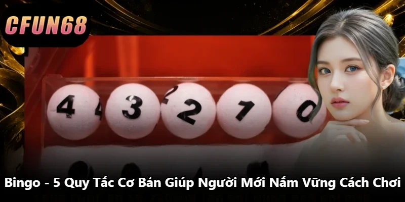 Bingo – 5 Quy Tắc Cơ Bản Giúp Người Mới Nắm Vững Cách Chơi