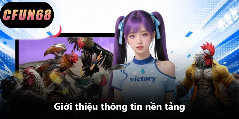 Giới thiệu thông tin nền tảng Giới thiệu thông tin nền tảng